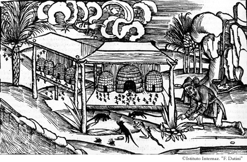 L'apicoltore brucia rami di timo per allontanare tarantole e altri animali. (Georgiche IV, 226-250)