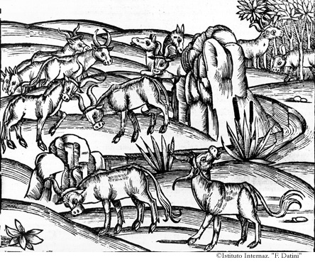I tori si battono per conquistarsi una giovenca. (Georgiche III, 209-241)