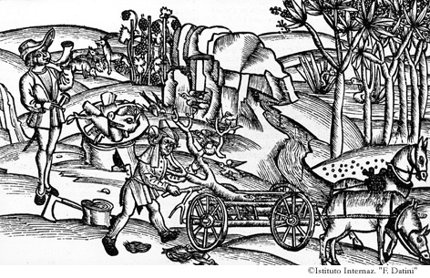 Invenzione del pastore di Arcadia che uccise un giovenco per generare le api. (Georgiche IV, 281-314)