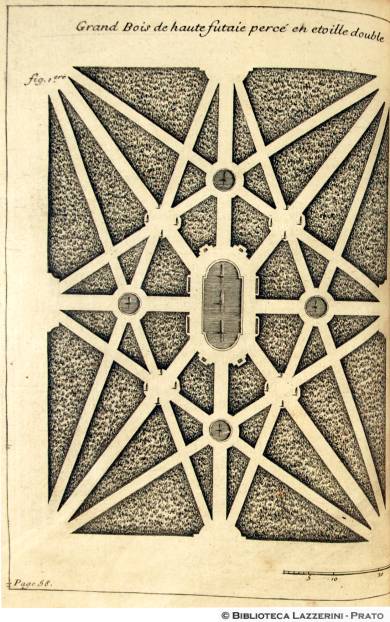 Grand bois de haute futaie percé en etoille double, P.58, Pl. 1.re C