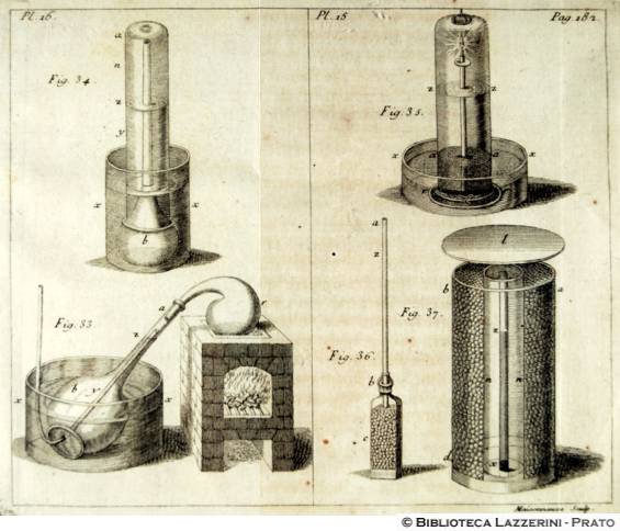 Studi sulla fisiologia delle piante, Pag.182, Pl.16-Pl.15