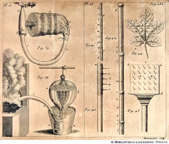 Studi sulla fisiologia delle piante, Pag.282, Pl.17-Pl.18