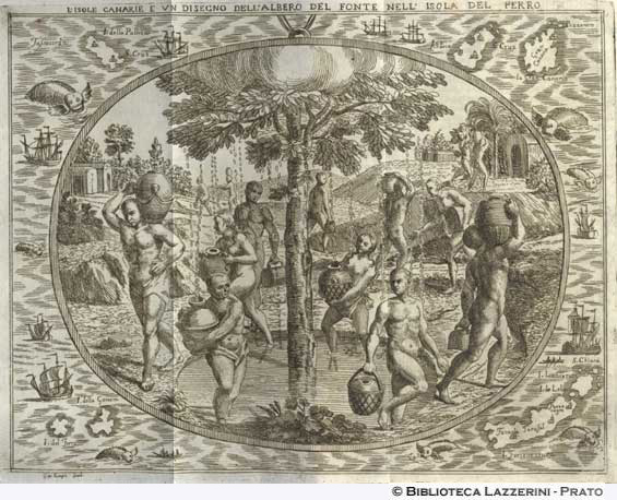 Veduta dell’albero Fontinale nelle isole Canarie (albero che produce acqua come una fontana), p. 141