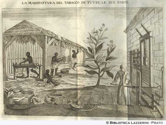 Manifattura del tabacco, p. 62