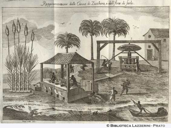 Manifattura dello zucchero, p. 85
