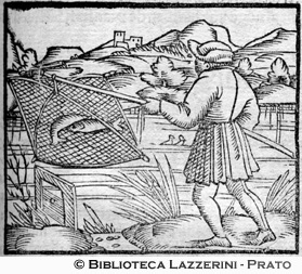 Pesca con il bilancino, p. 511