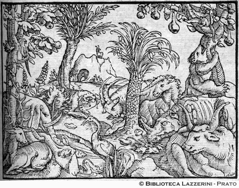 Paesaggio fertile: alberi da frutto e animali, p. 307