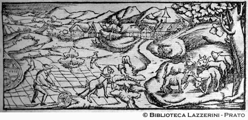 Paesaggio e attività agricole, p. 51