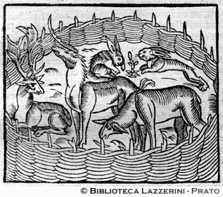 Cervi e lepri in un recinto di caccia, p. 728