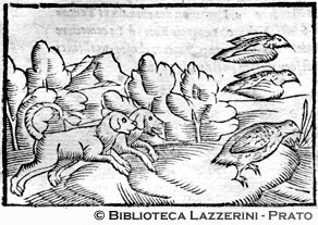 Caccia alla pernice, p. 762