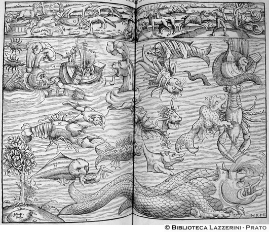 Mostri marini e bestie meravigliose, p. 1056-1057