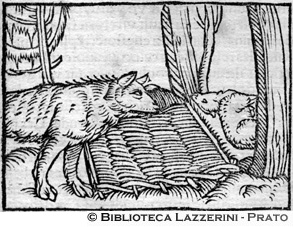Trappola per i lupi, p. 1149