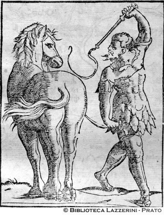 Domatore di cavalli, p. 1230