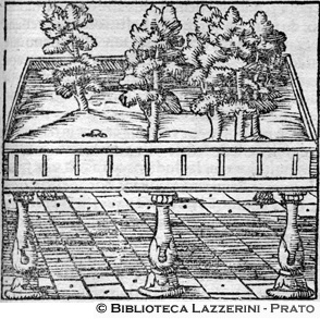 I giardini pensili di Babilonia, p. 1269