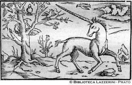 Unicorno, p. 1279