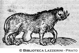 Animale fantastico d'Oriente, p. 1287