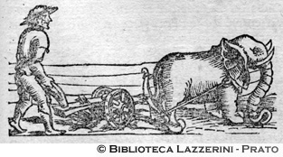 Elefante che tira un aratro, p. 1315
