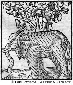 Elefante indiano, p. 1318