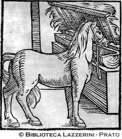 Cavallo all'abbeveratoio, p. 1322