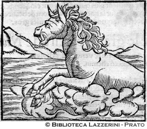 Cavallo marino, p. 1324