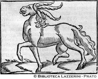 Animale fantastico, p. 1325