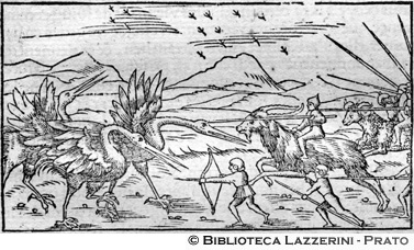 Combattimento con le cicogne, p. 1333