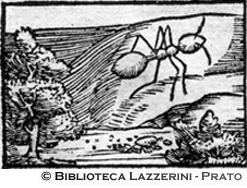 Le formiche d'India, p. 1334