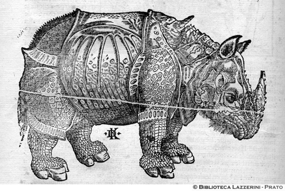 Rinoceronte, p. 1340