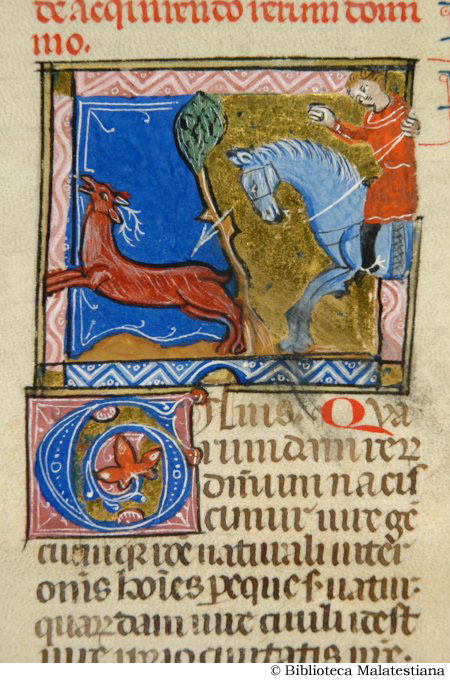 (Scena di caccia: un uomo a cavallo insegue un cervo e lo trafigge con una lancia), c. 68r