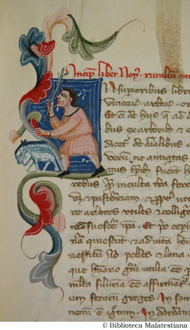 (Un pastore col suo gregge), c. 114r