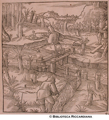 Chiuse e siepi, p. 252
