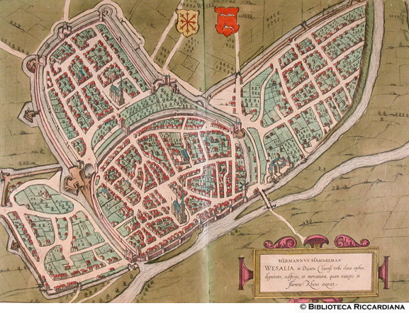 Tav. 19 - Wesalia inferior (Wesel, Germania)