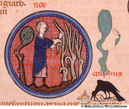 Noč pota le viti, c. 3v