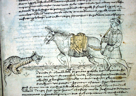 Il villano va a far legna e incontra un serpente, c. 20r