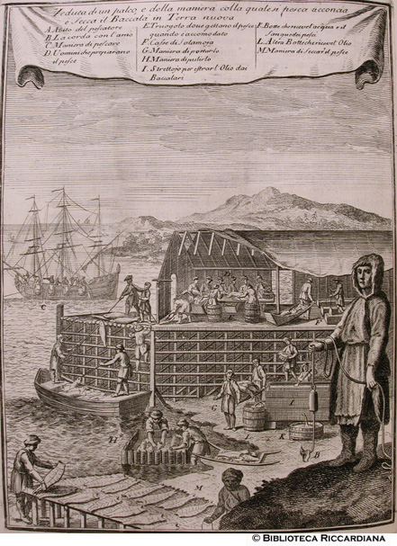 Fig. 17 - Pesca e secca del baccal in Terra nuova, p. 155