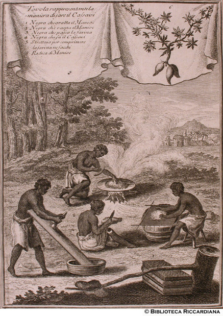 Fig. 22 - La maniera di fare il pan di Cassavi (Manioca) e radice di Manioca, p. 225