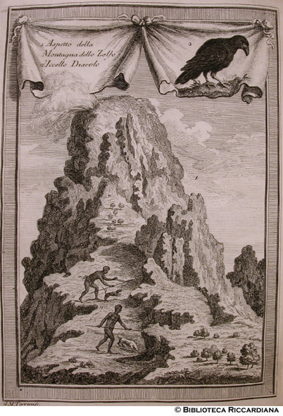 Fig. 4 - Montagna dello Zolfo e Uccello Diavolo (Guadalupe), p. 49 (incisore: G. M. Terreni)