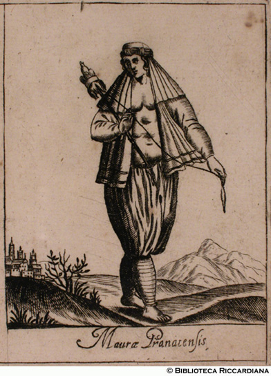 Fig. 17 - "Maura granatensis"