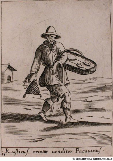 Fig. 18 - (ma 17) “Expensator italus”