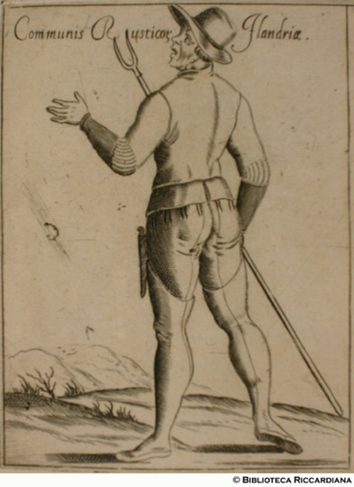 Fig. 32 - Contadino delle Fiandre