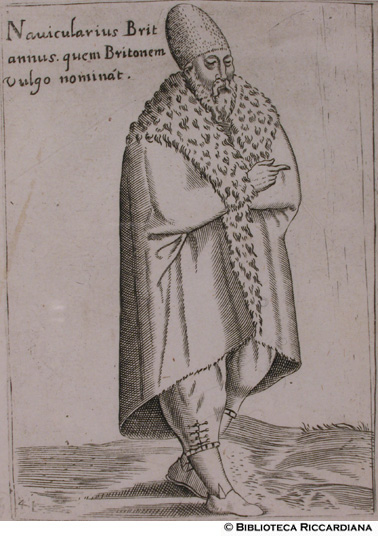 Fig. 41 - "Navicularis Britannus" detto volgamente Bretone