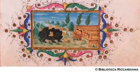 Orso presso le arnie delle api, c. 17r