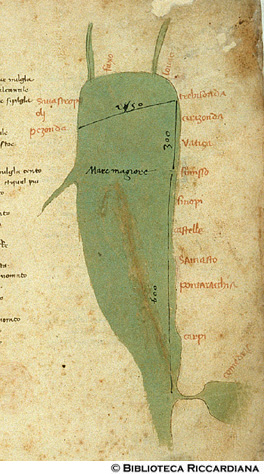 Carta del Mar Maggiore (Mar Nero): distanza dallo Stretto del Bosforo a Trebisonda, c. 23r.