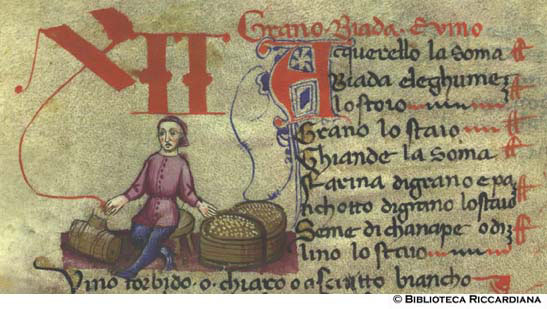 Venditore di grano, biada e vino, c. 24v