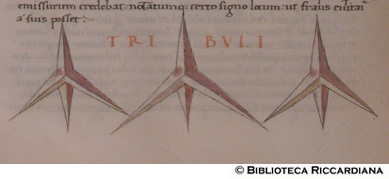 Triboli, c. 125v