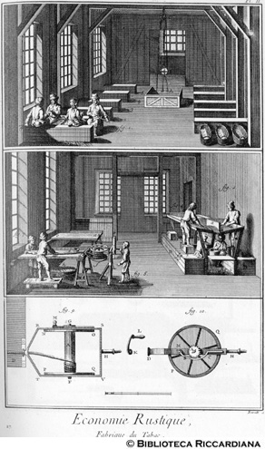 Tav. 27 - Economia rurale: fabbricazione del  tabacco (scostolatura delle foglie e filatura) - filatoio.