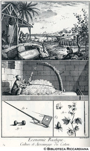 Tav. 34 - Economia rurale: Coltivazione e lavorazione del cotone (piantagione, battitura con l'arco) - Attrezzi.