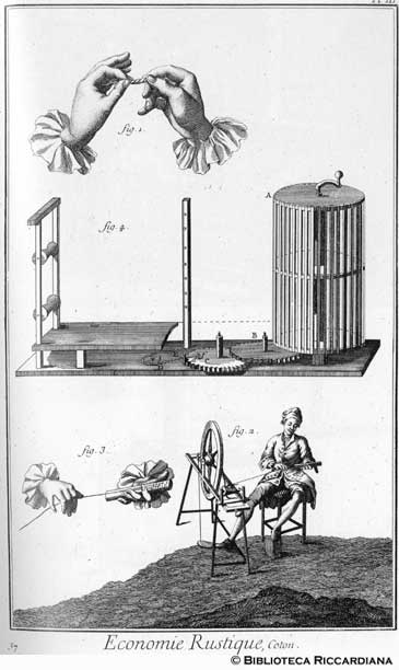 Tav. 37 - Economia rurale: cotone (filatura, lucidatura, orditura).