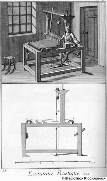 Tav. 38 - Economia rurale: cotone (tessitura) - profilo di telaio.