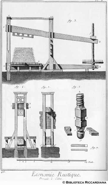 Tav. 46 - Economia rurale: torchio da sidro (sezione e particolari).